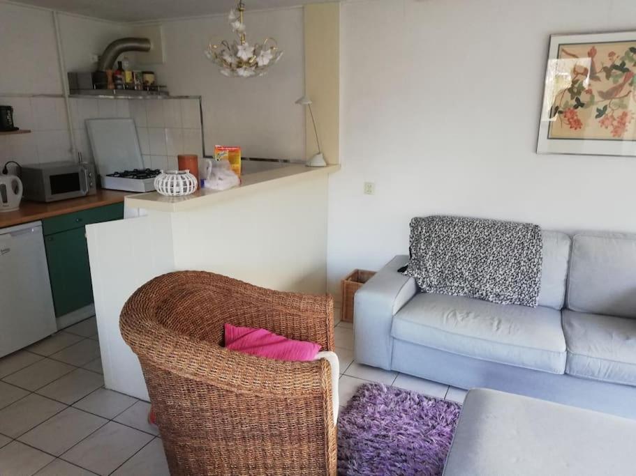Cottage Egmond-Binnen Met Besloten Tuin Экстерьер фото
